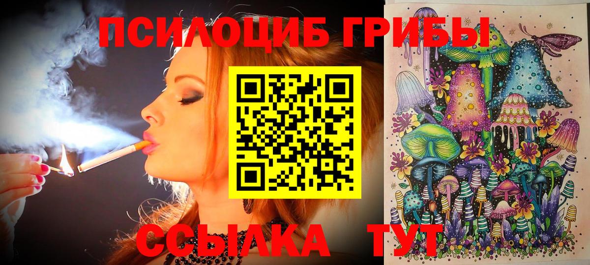 Сланцы  Псилоцибиновые грибы Psilocybe  Вход с VPN  Псилоцибиновые грибы мицелий 