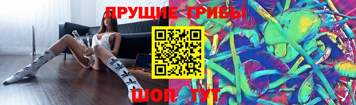 Alpha PVP СК   Вход с VPN  Меф МЯУ МЯУ кристаллы  Бошки Шишки  ЭКСТАЗИ  Сланцы  МДМА  ГАШ  Cocaine  ГАШ 